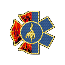 Load image into Gallery viewer, DOEMS FIRE SERVICE DUAL ROLE COLLECTION SPECIAL
