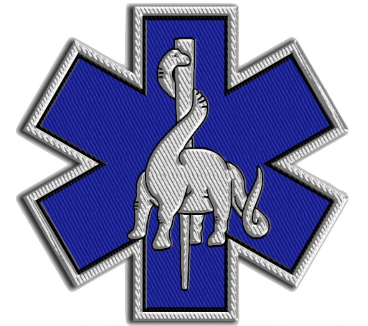 DOEMS 3 PATCH GOLD OR SILVER – The Dinosaurs of EMS Store