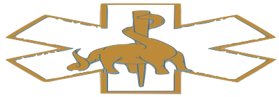 CATALOG