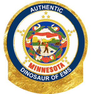 AUTHENTIC DINO PER STATE NE-WY