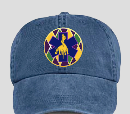 DOEMS CHAPTER HATS LA AND SC LIMITED INVENTORY – The Dinosaurs of EMS Store