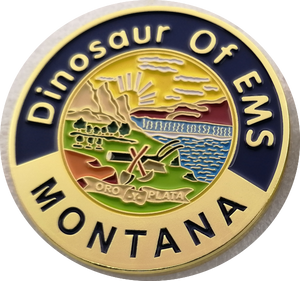 DOEMS STATE COINS MT-WY